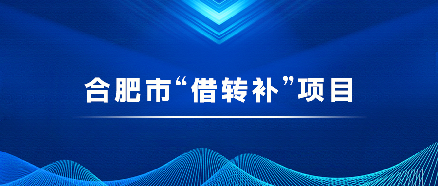 合肥市“借转补”项目